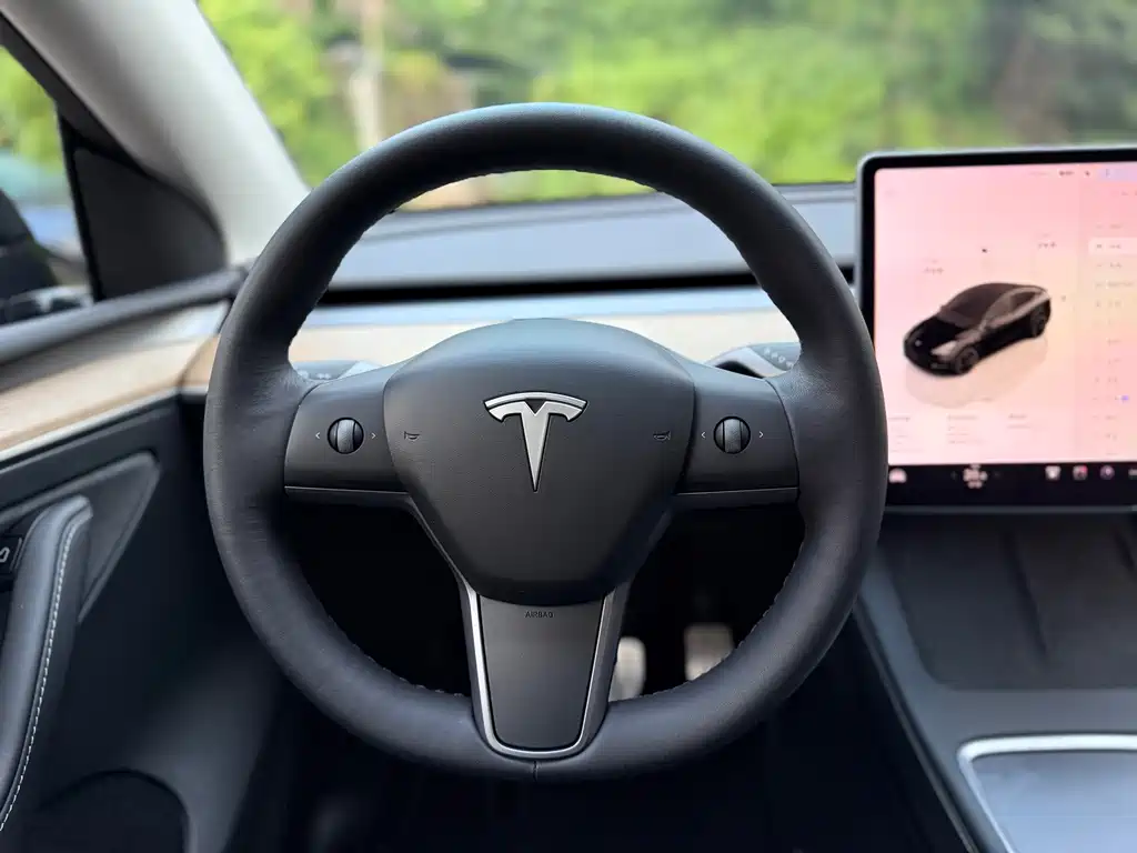 Tesla Model Y — миниатюра 15