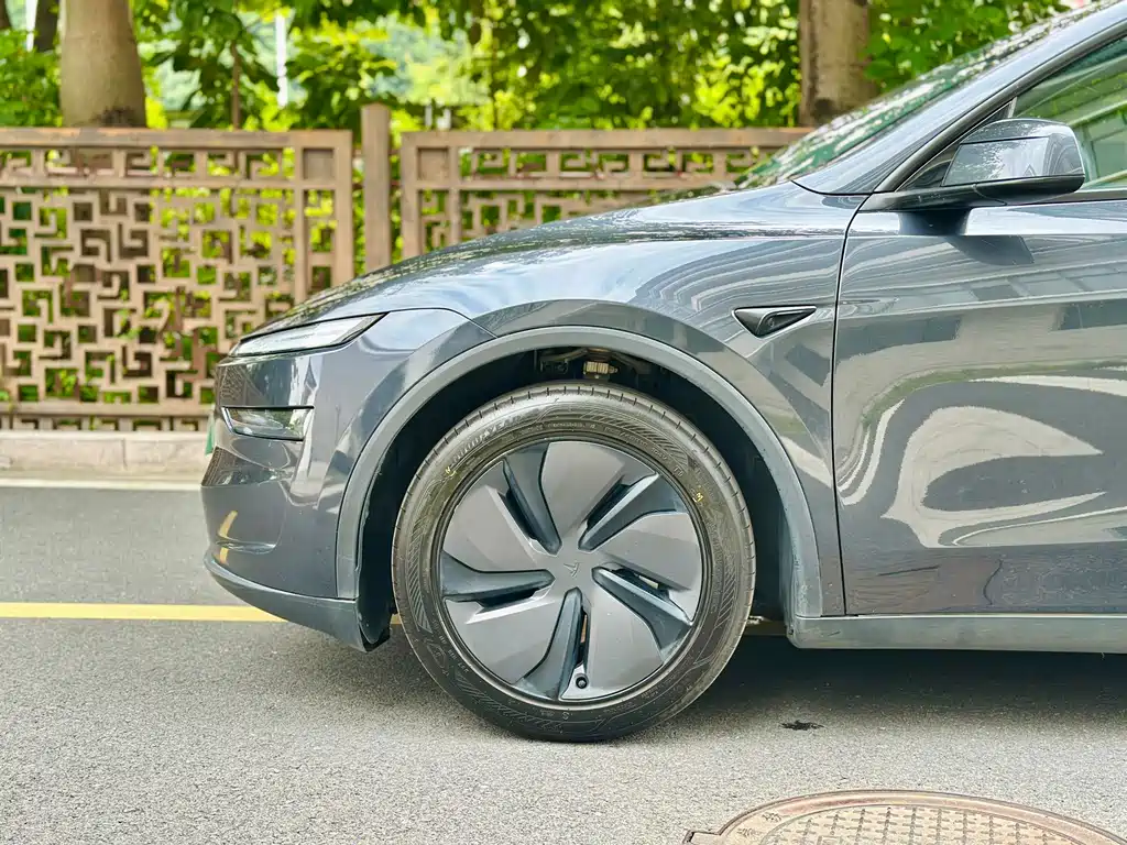 Tesla Model Y — миниатюра 8