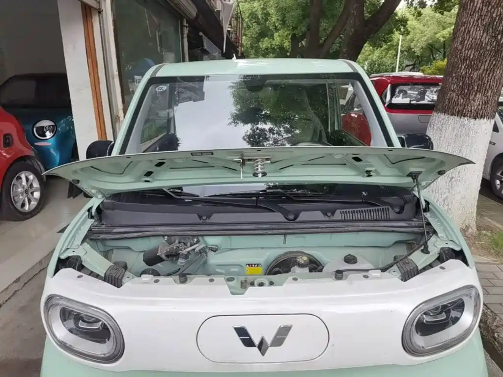 Wuling MINIEV — миниатюра 20