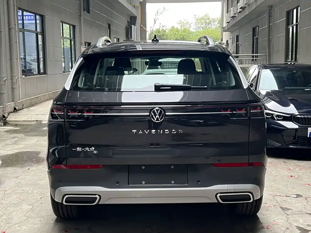 Volkswagen Tavendor — миниатюра 3