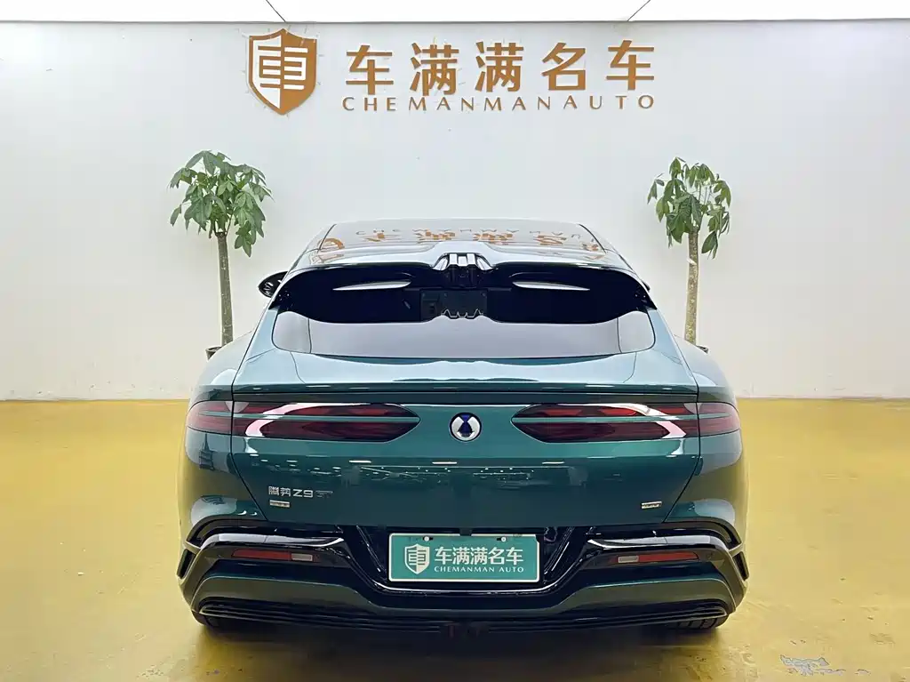 Denza Denza Z9GT — миниатюра 10