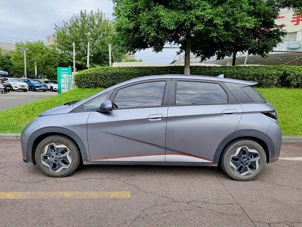 BYD Dolphin — миниатюра 3