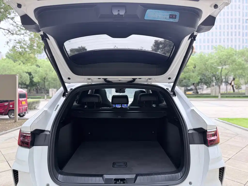 BYD PLUS — миниатюра 13