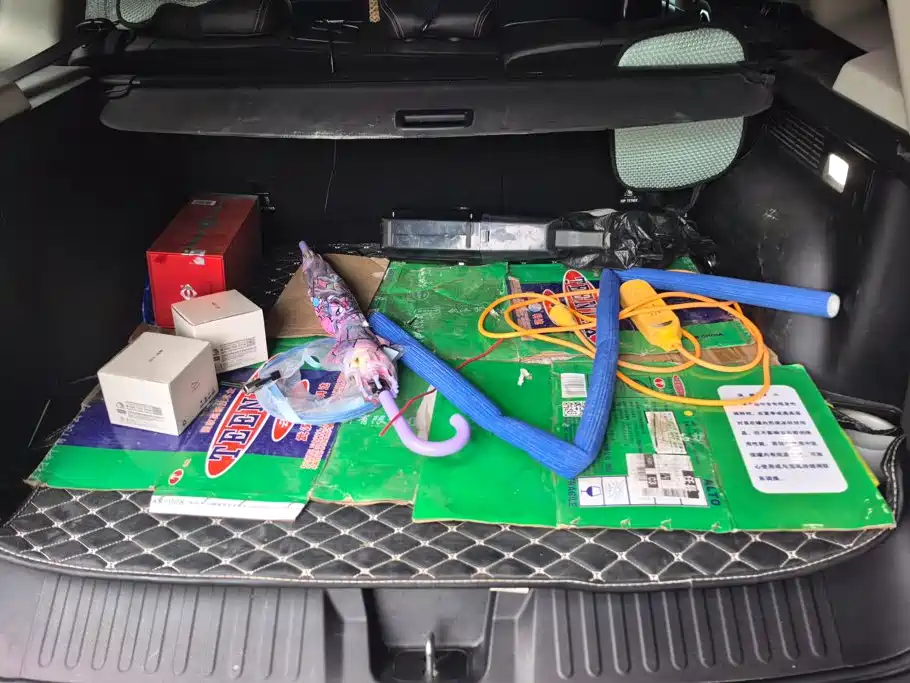 Haval Big Dog — миниатюра 4