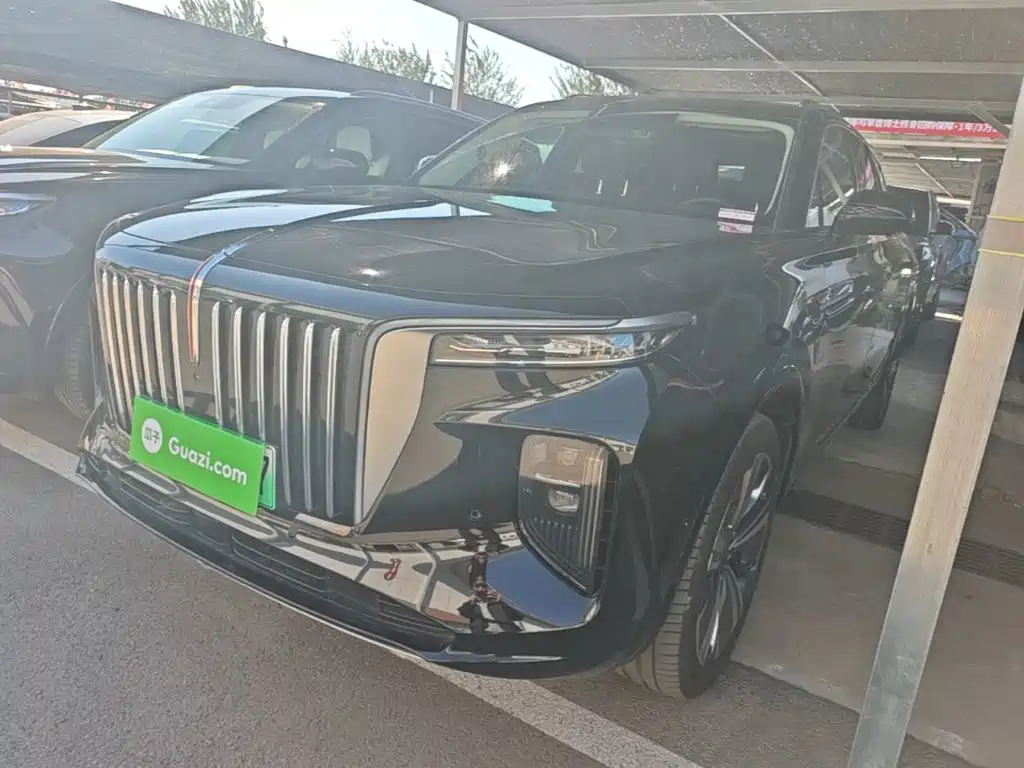 Hongqi E-HS9 — фотографии объявления, Фото 3