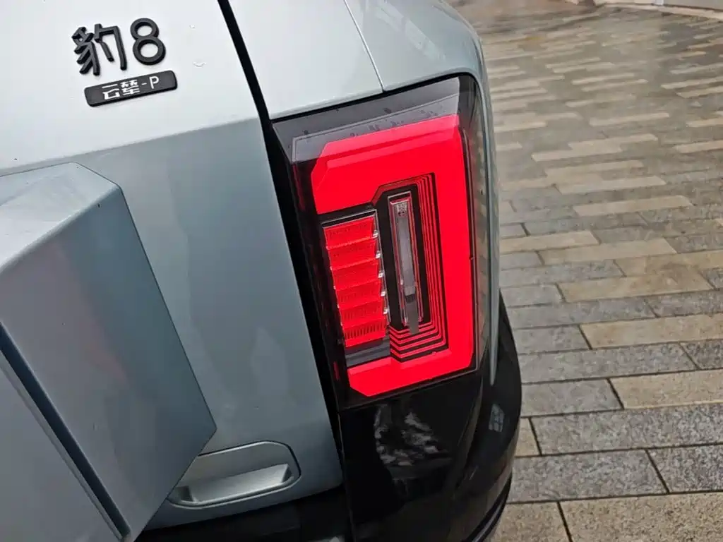 Fang Cheng Bao Leopard 8 — миниатюра 8