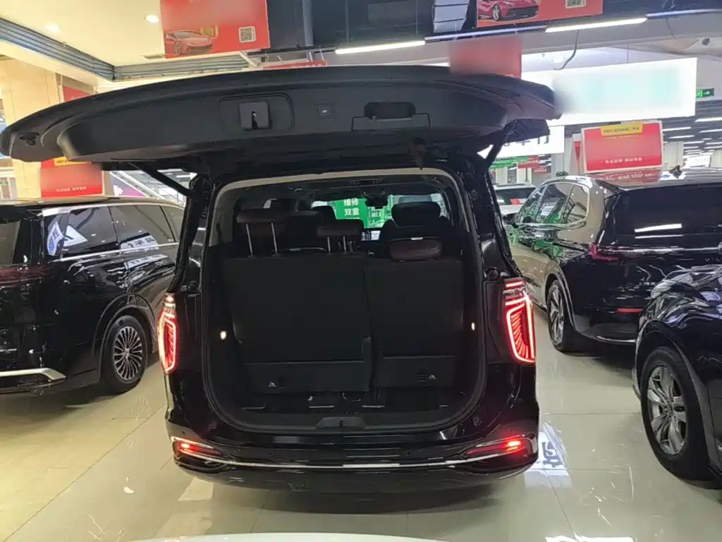 Hongqi Hongqi HQ9 — миниатюра 19