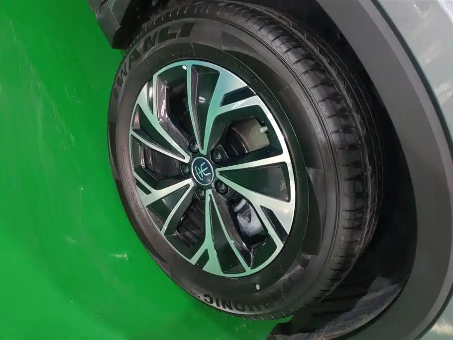 BYD SONGJIANG NEW ENERGY