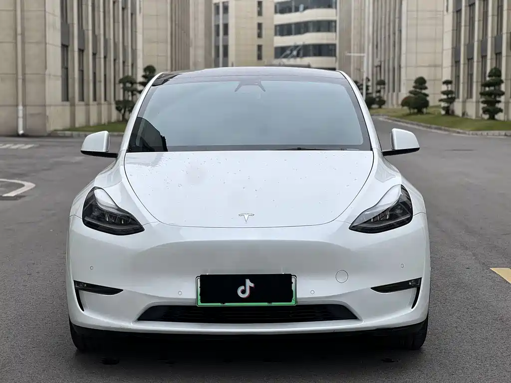 Tesla Model Y — миниатюра 2