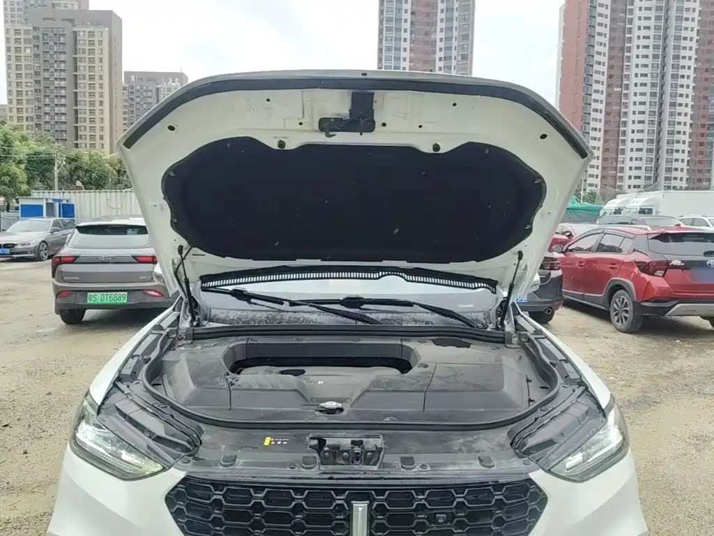 Wey Wey VV6 — миниатюра 20