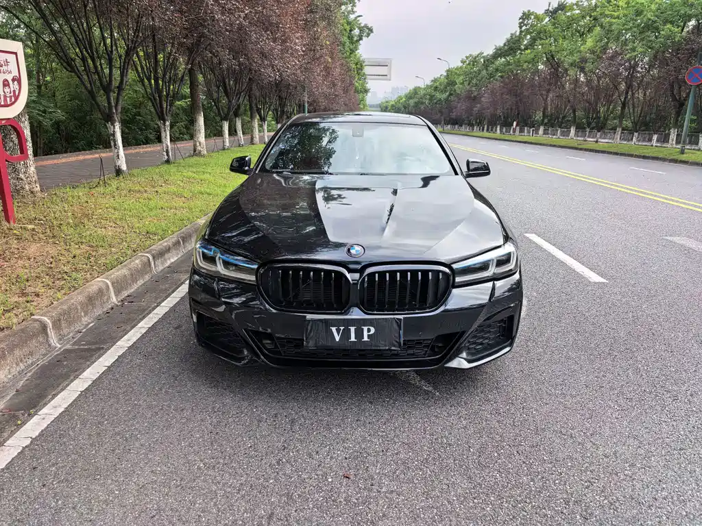 BMW 5 Series — миниатюра 2