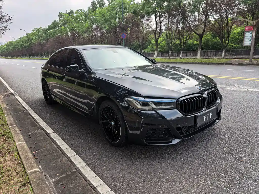 BMW 5 Series — миниатюра 3