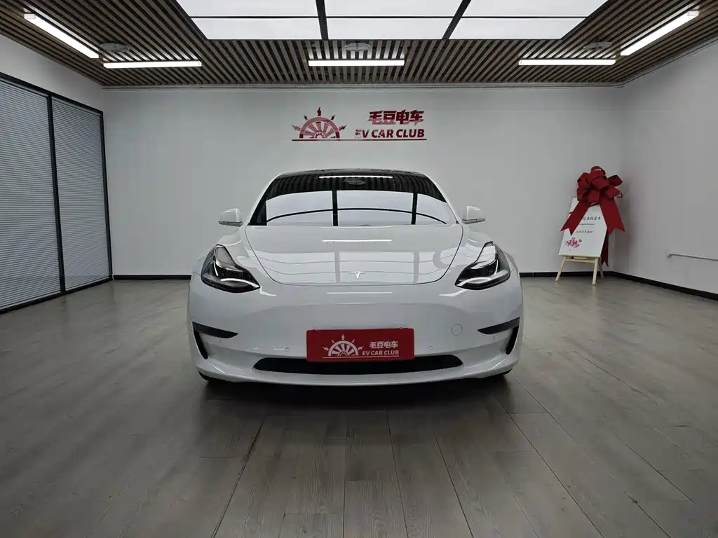 Tesla Model 3 — миниатюра 3