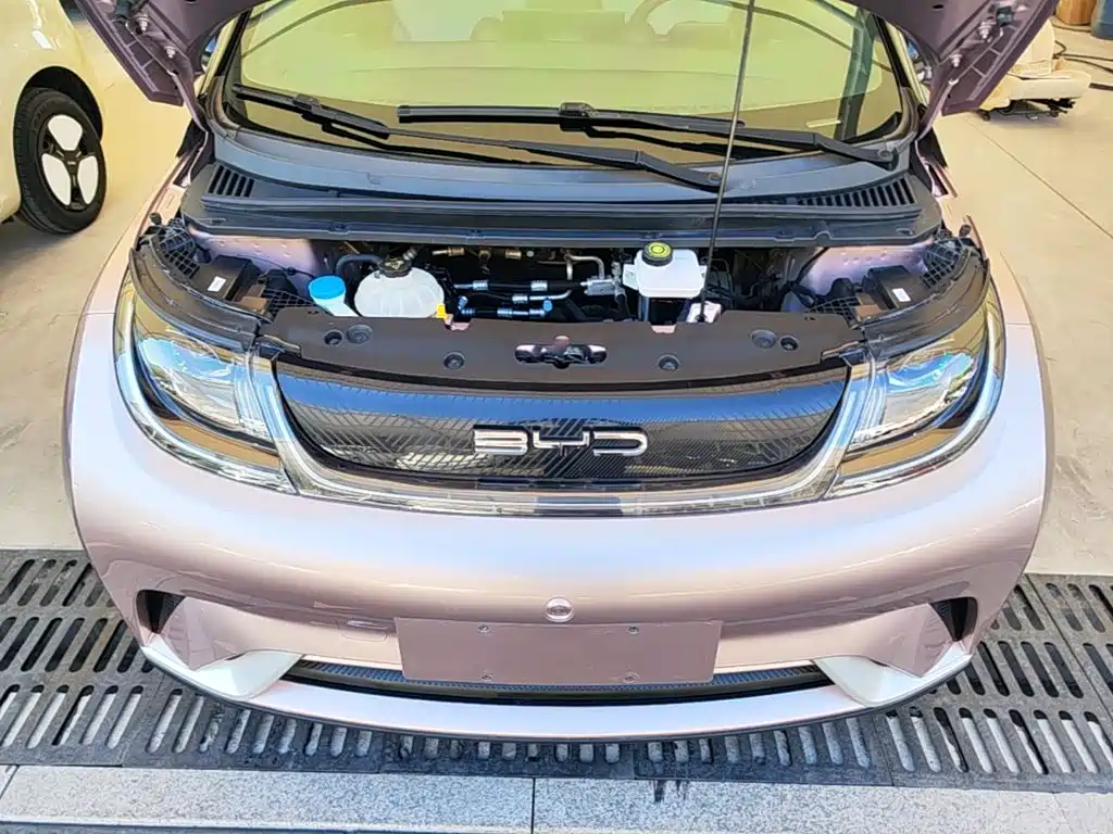 BYD Dolphin — миниатюра 20