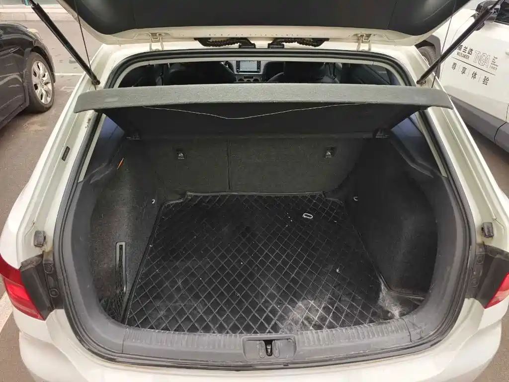 Volkswagen Gran Lavida — миниатюра 6