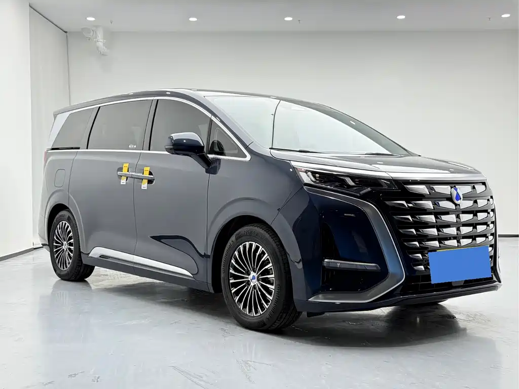DENZA  D9