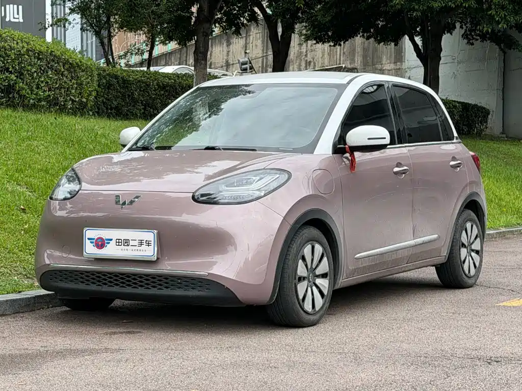Wuling Bingo