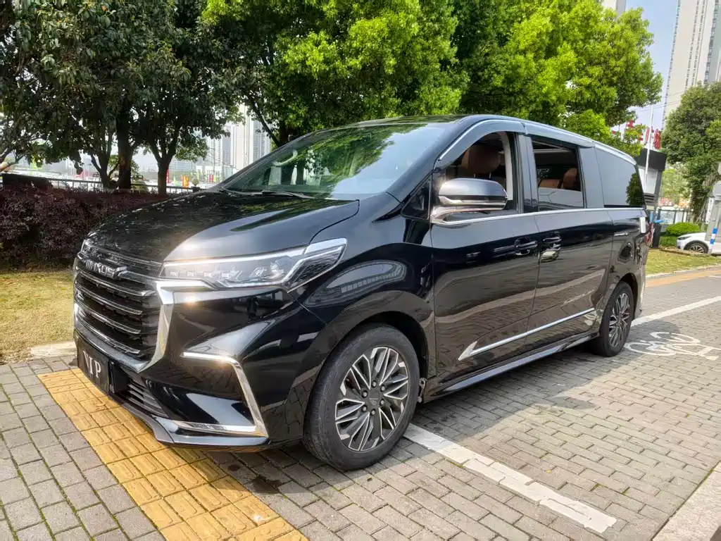 大通 G20 2021
