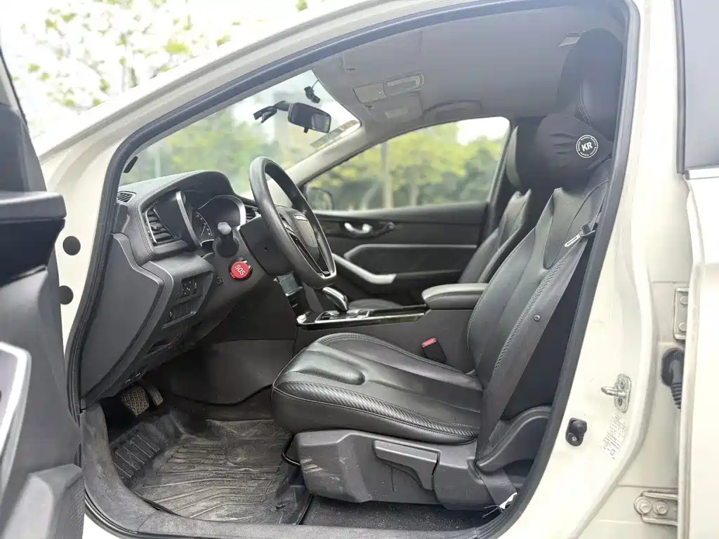 Venucia D60 EV — миниатюра 6