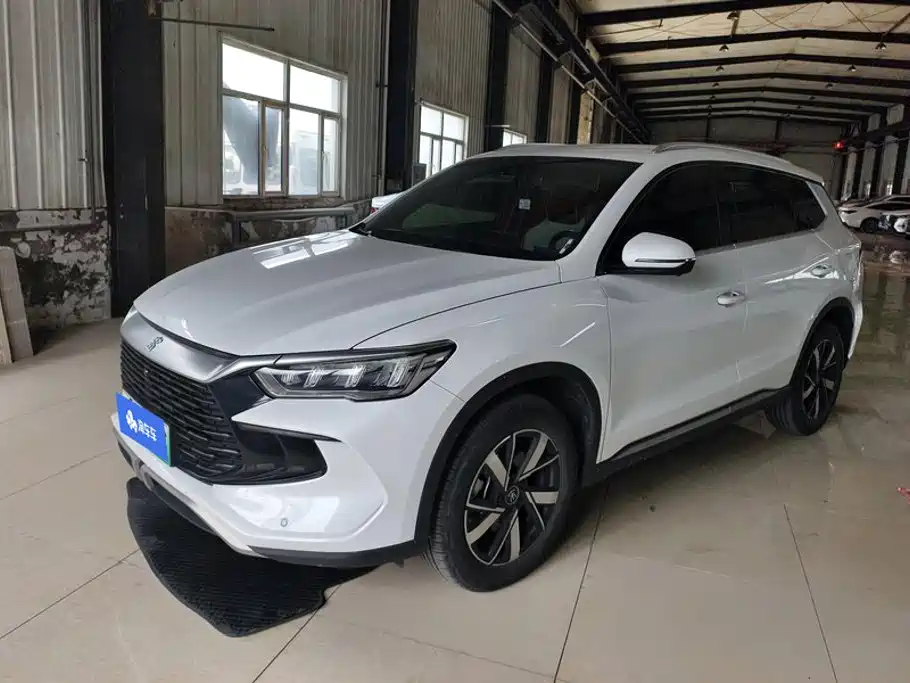 BYD Pro New Energy