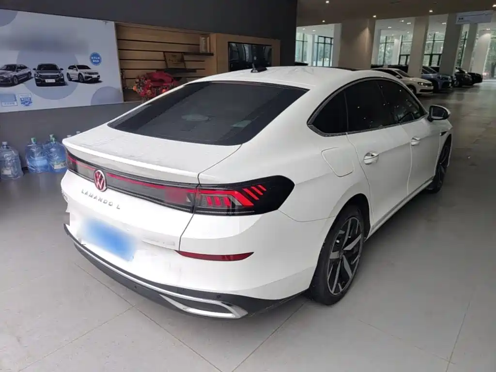Volkswagen Lamando — миниатюра 7
