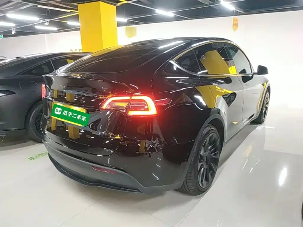 Tesla Model Y — миниатюра 7