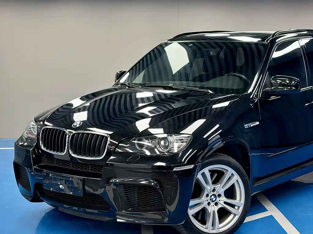 BMW X5 M 2010 X5 M