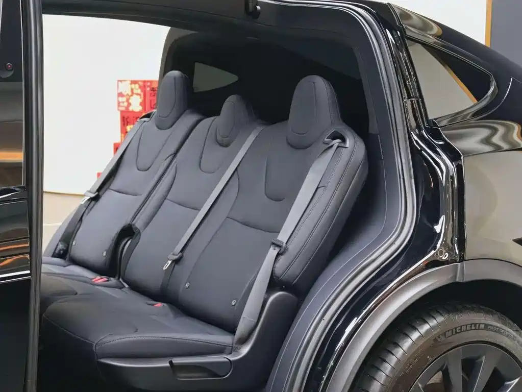 Tesla Model X — миниатюра 6
