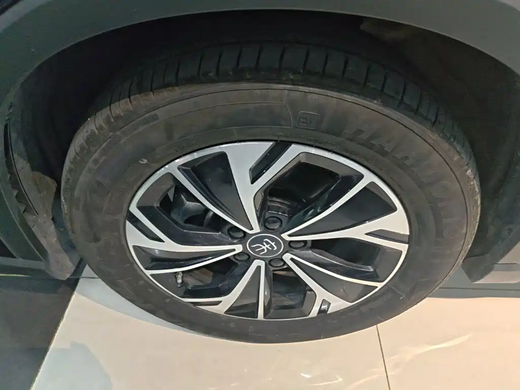 BYD Pro New Energy — миниатюра 23