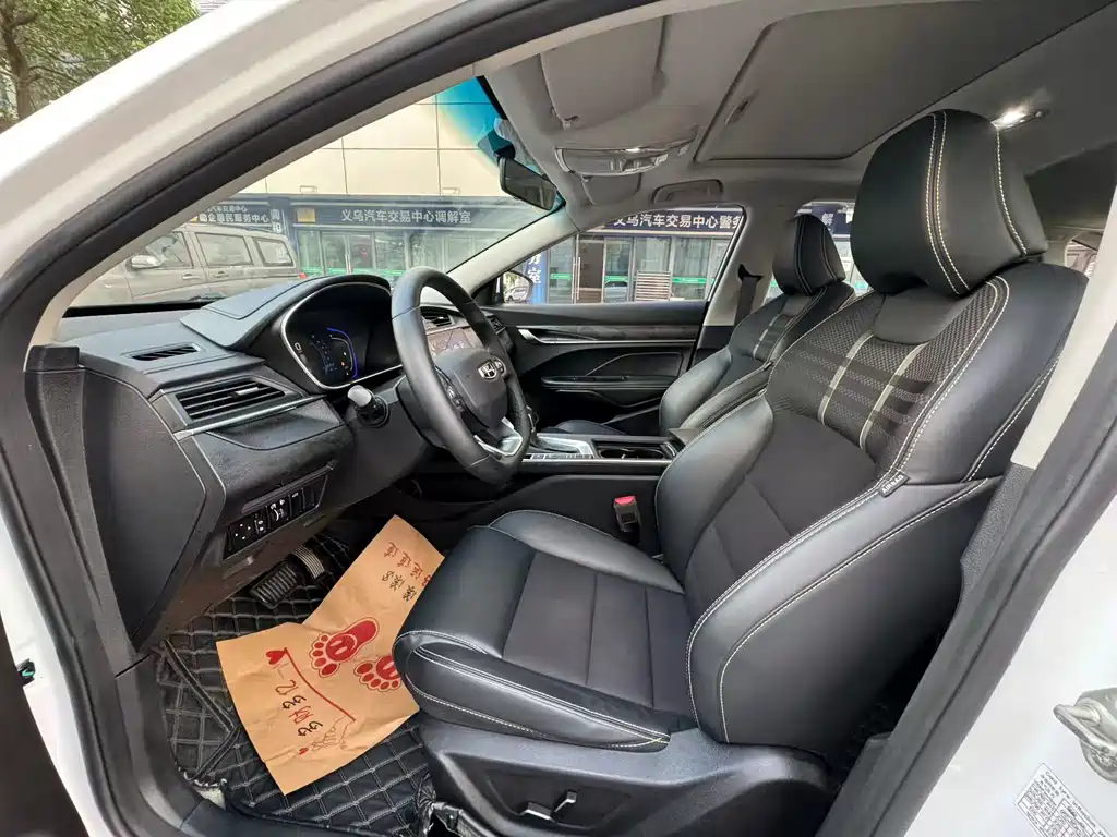 GEELY AUTOMOBILE BINRUI
