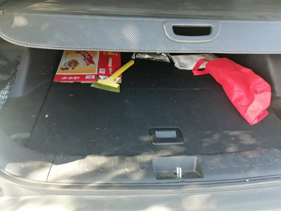 SOUEAST SOUTHEAST DX7