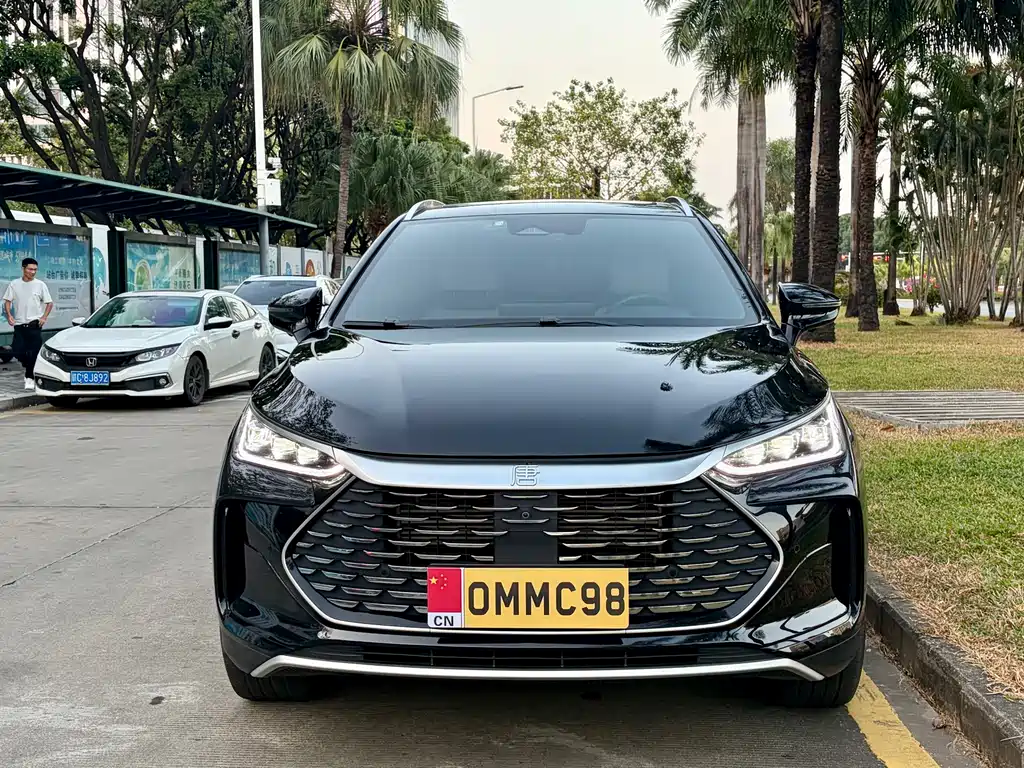 BYD Tang New Energy — миниатюра 2