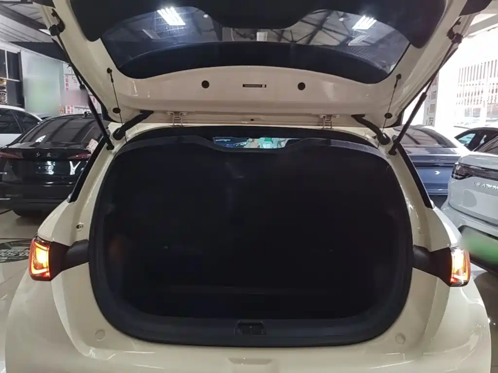 BYD Dolphin — миниатюра 19
