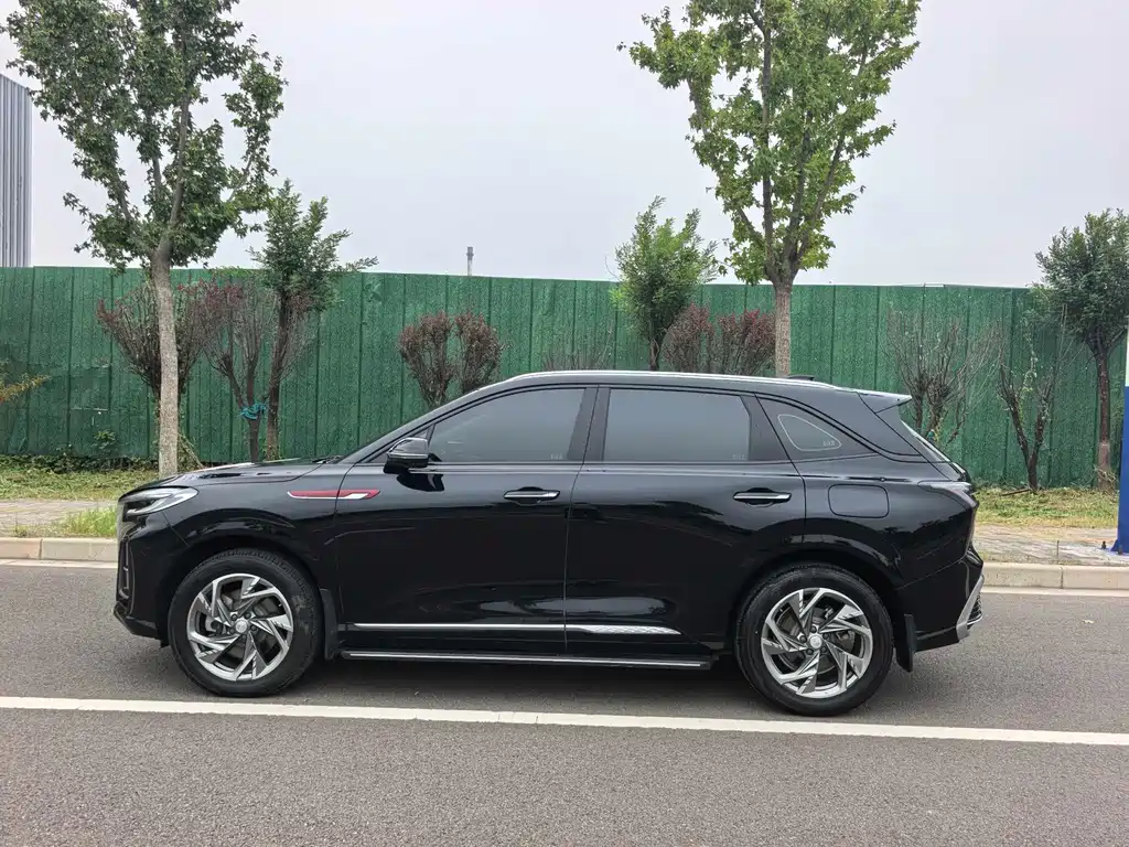 Hongqi Hongqi HS3 PHEV — миниатюра 3