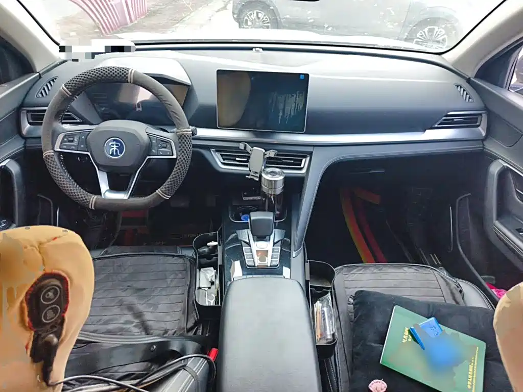 BYD Pro — миниатюра 5