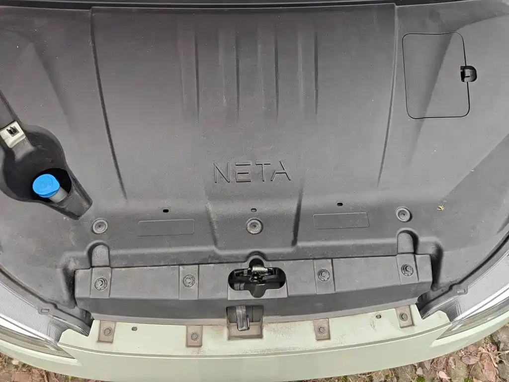 Neta Neta V — миниатюра 21