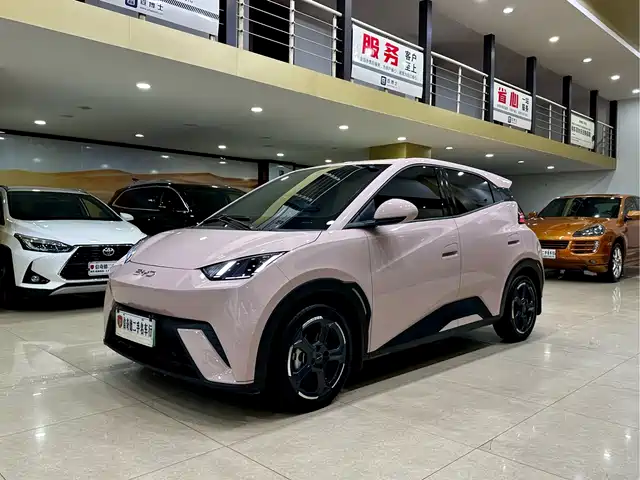 BYD Seagull
