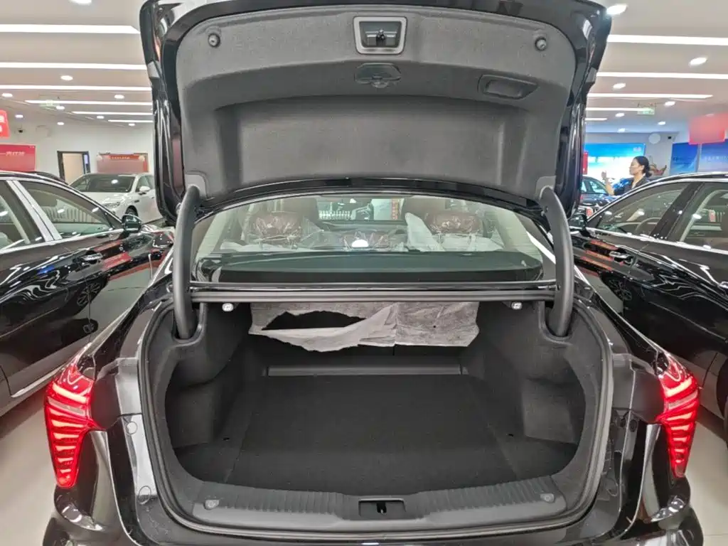 Hongqi Hongqi H5 PHEV — миниатюра 19