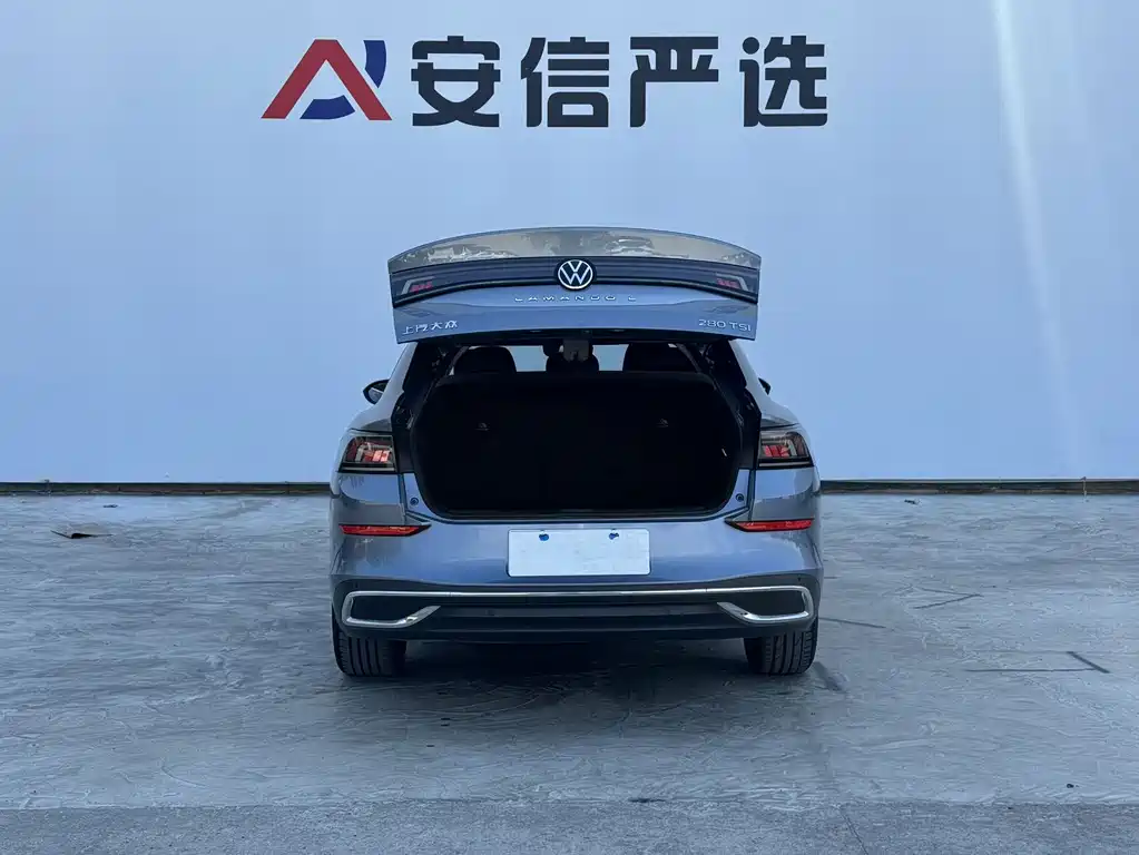 Volkswagen Lamando — миниатюра 8