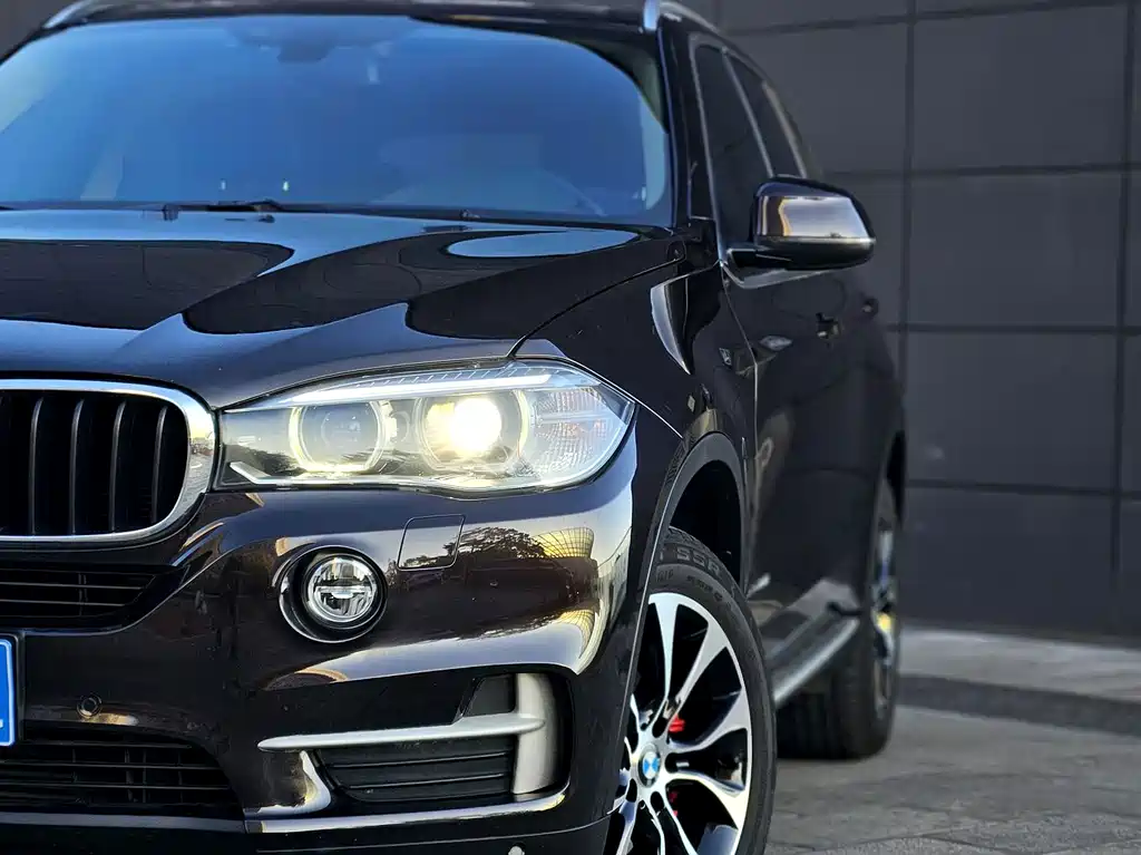 BMW X5 (Import) — миниатюра 10