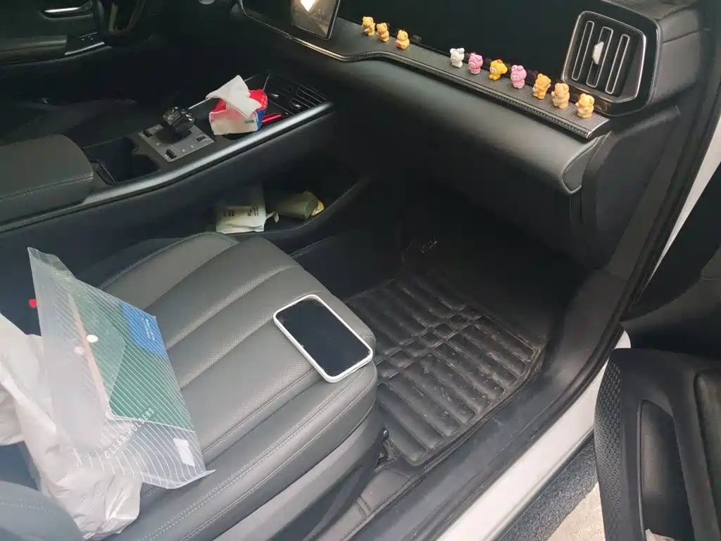 BYD Pro New Energy — миниатюра 19