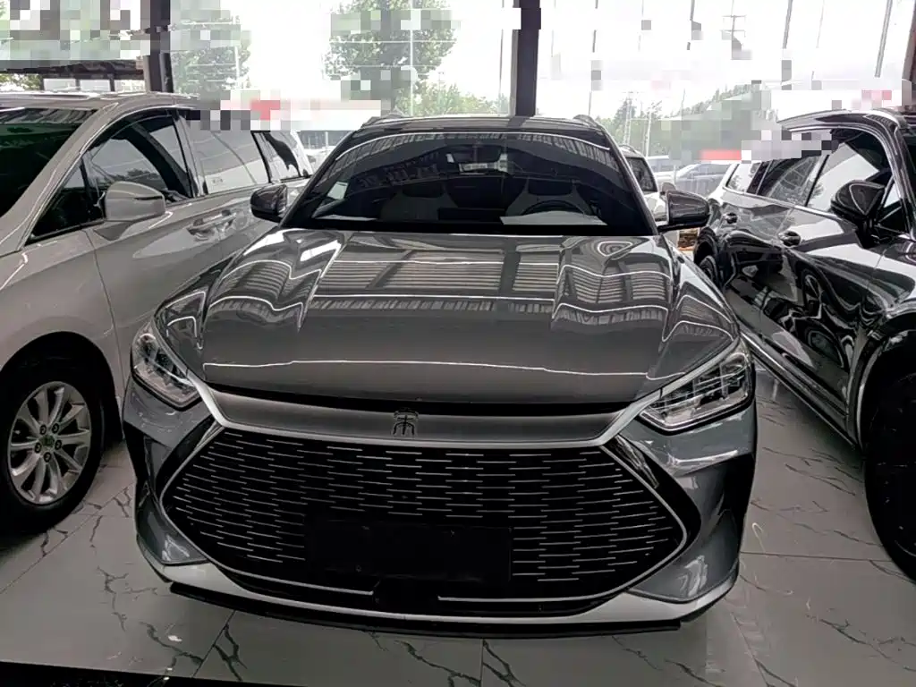 BYD PLUS New Energy — миниатюра 3
