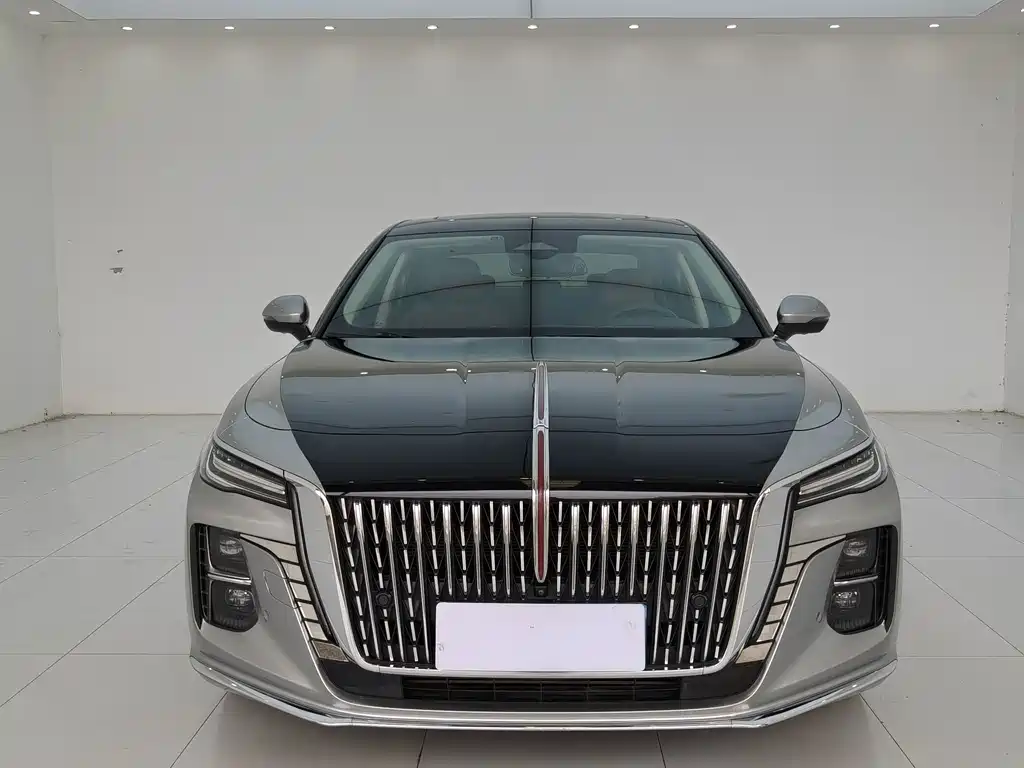 Hongqi Hongqi H5 — миниатюра 2