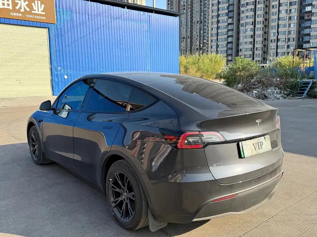 Tesla Model Y — миниатюра 6