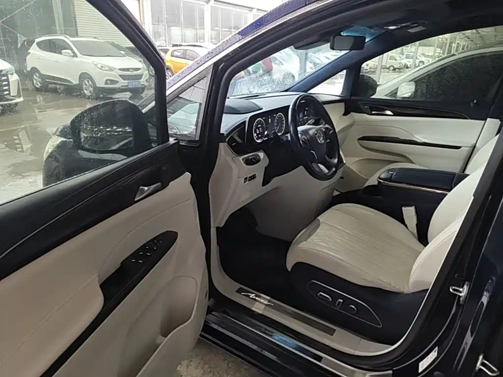Buick GL8 — миниатюра 16