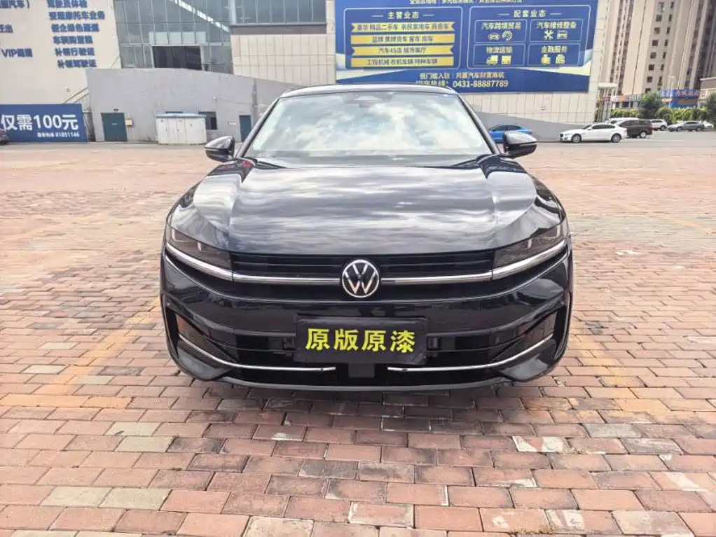 Volkswagen Magotan — миниатюра 2