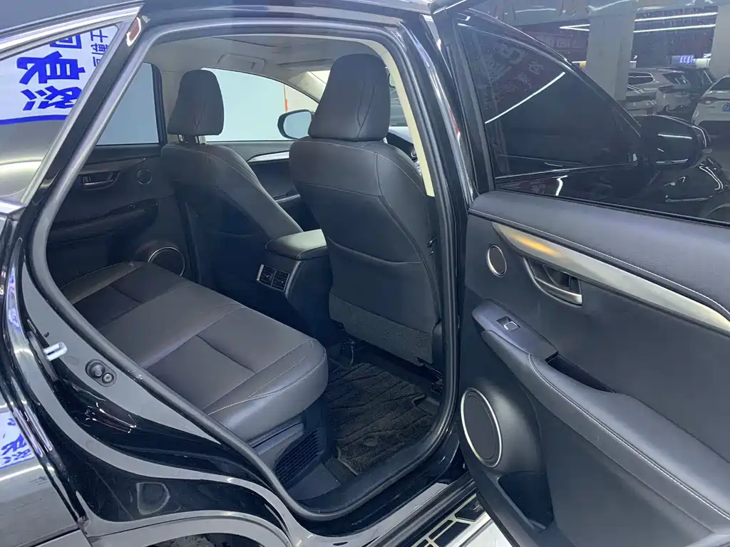 Lexus NX — миниатюра 15