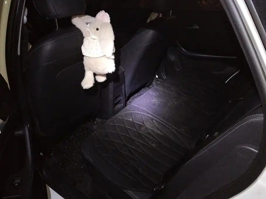 Chery Tiggo 3x — миниатюра 11