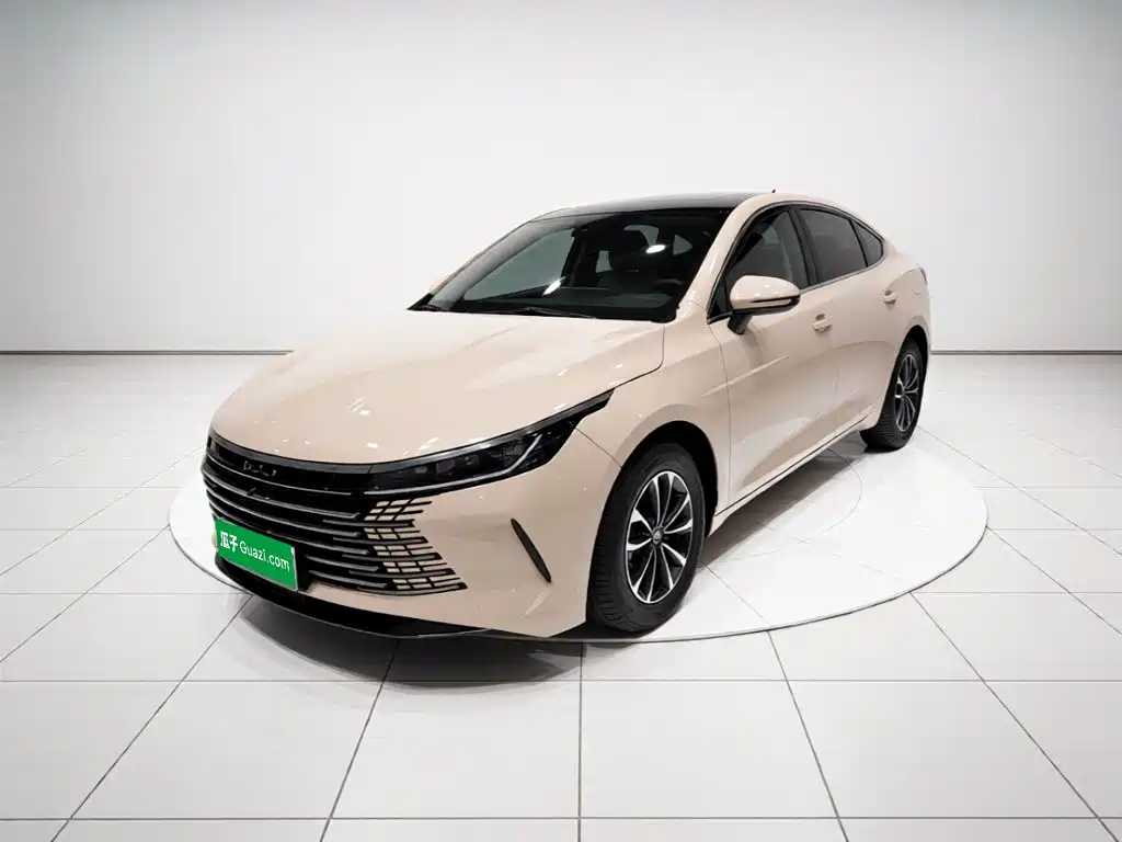 BYD Destroyer 05