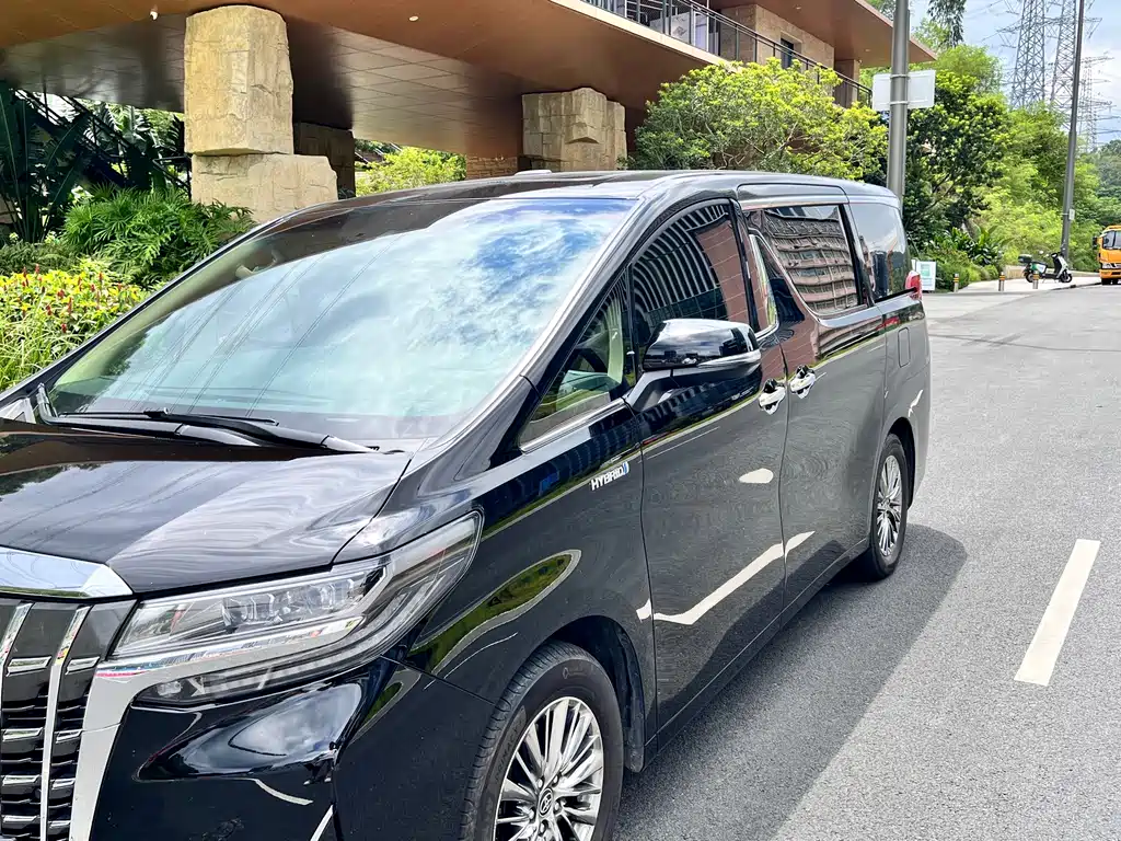 Toyota Alphard — миниатюра 22
